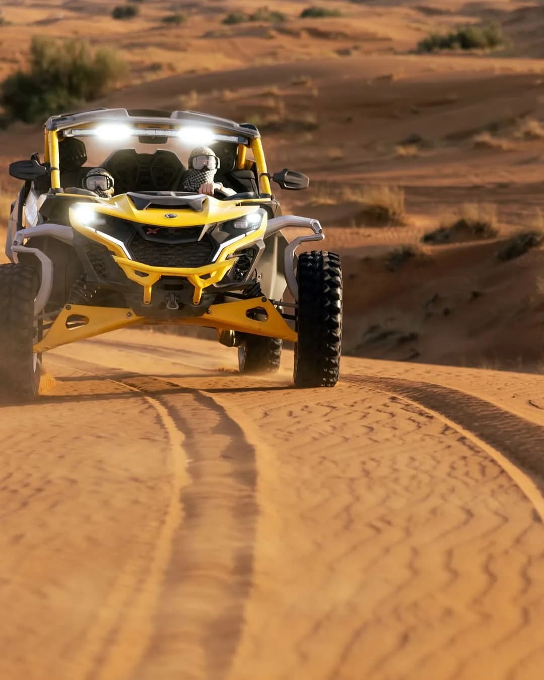 King of Desert Dubai dune buggy and desert safari support