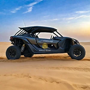 Family Desert Buggy Tour