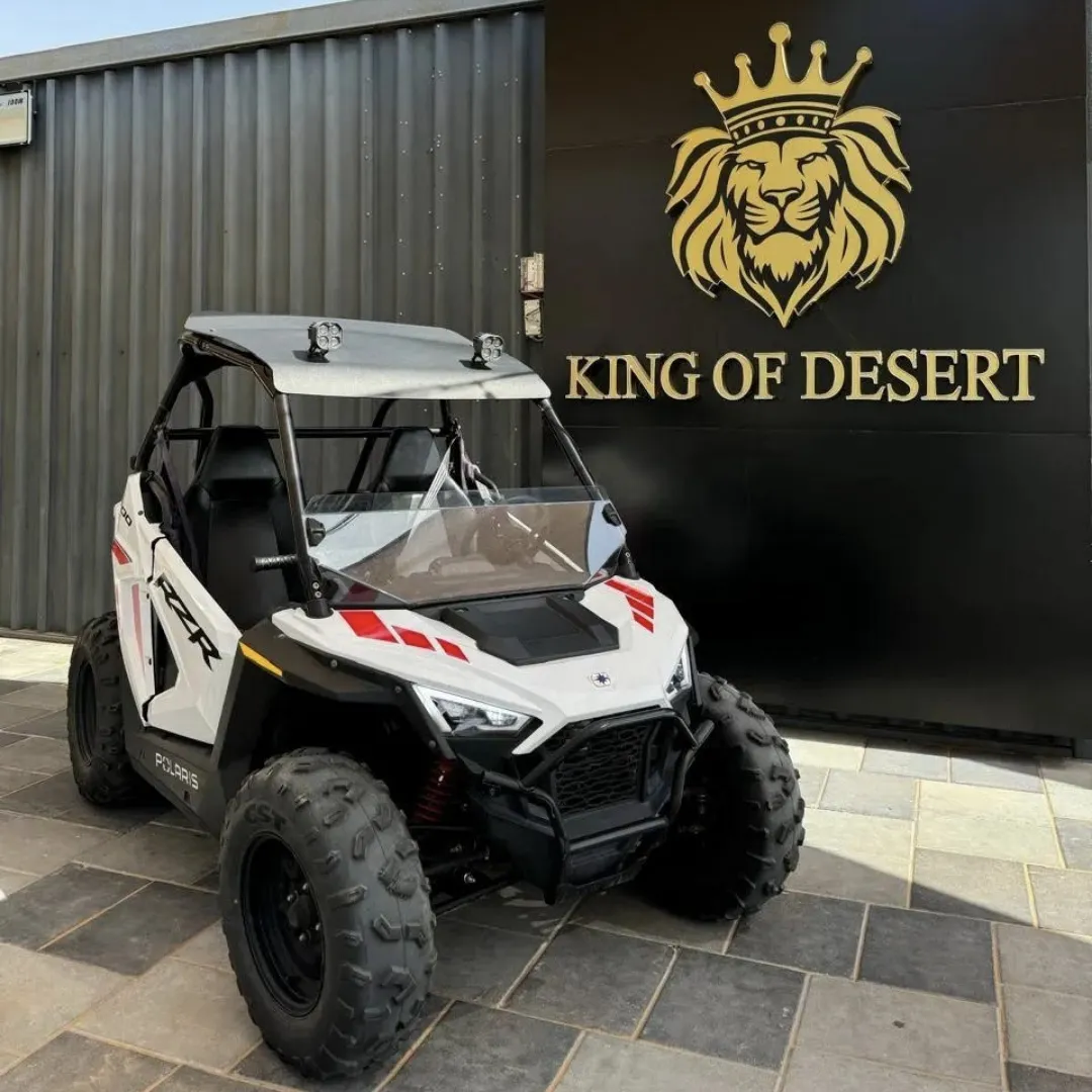 dubai-buggy-polaris-rzr-kids_3.webp