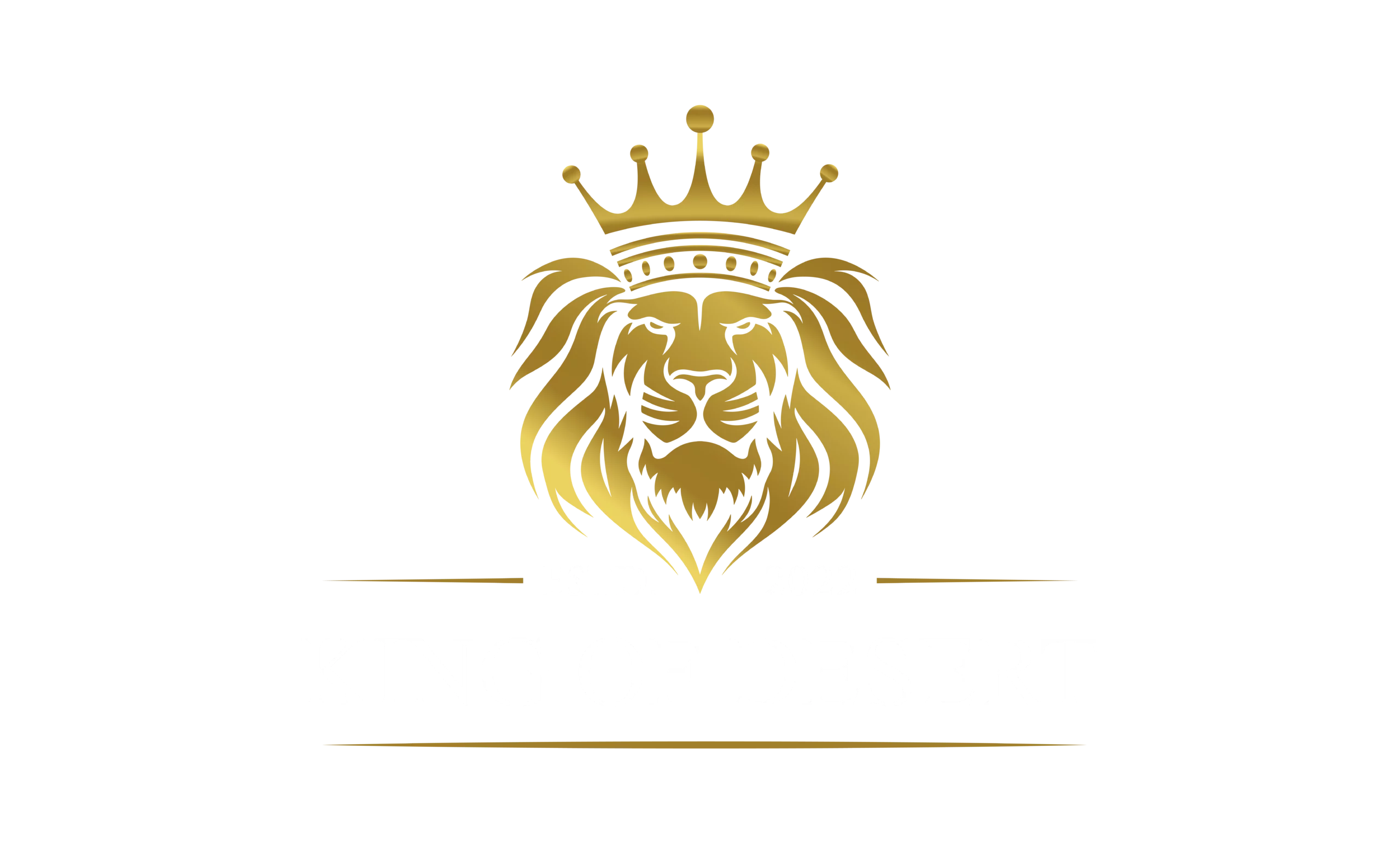 King Of Desert Buggy Dubai Tours